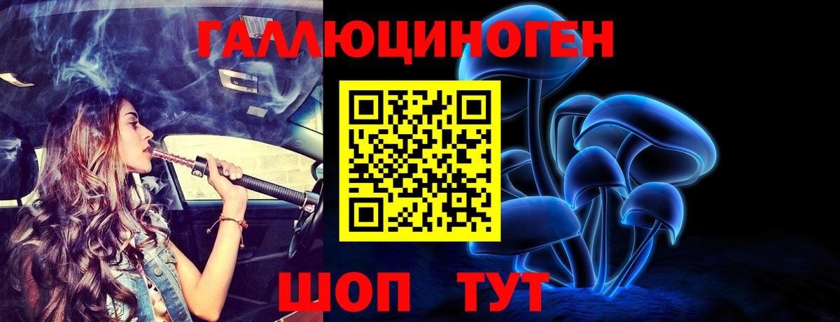 Десногорск  Псилоцибиновые грибы Psilocybine cubensis  Вход с VPN 